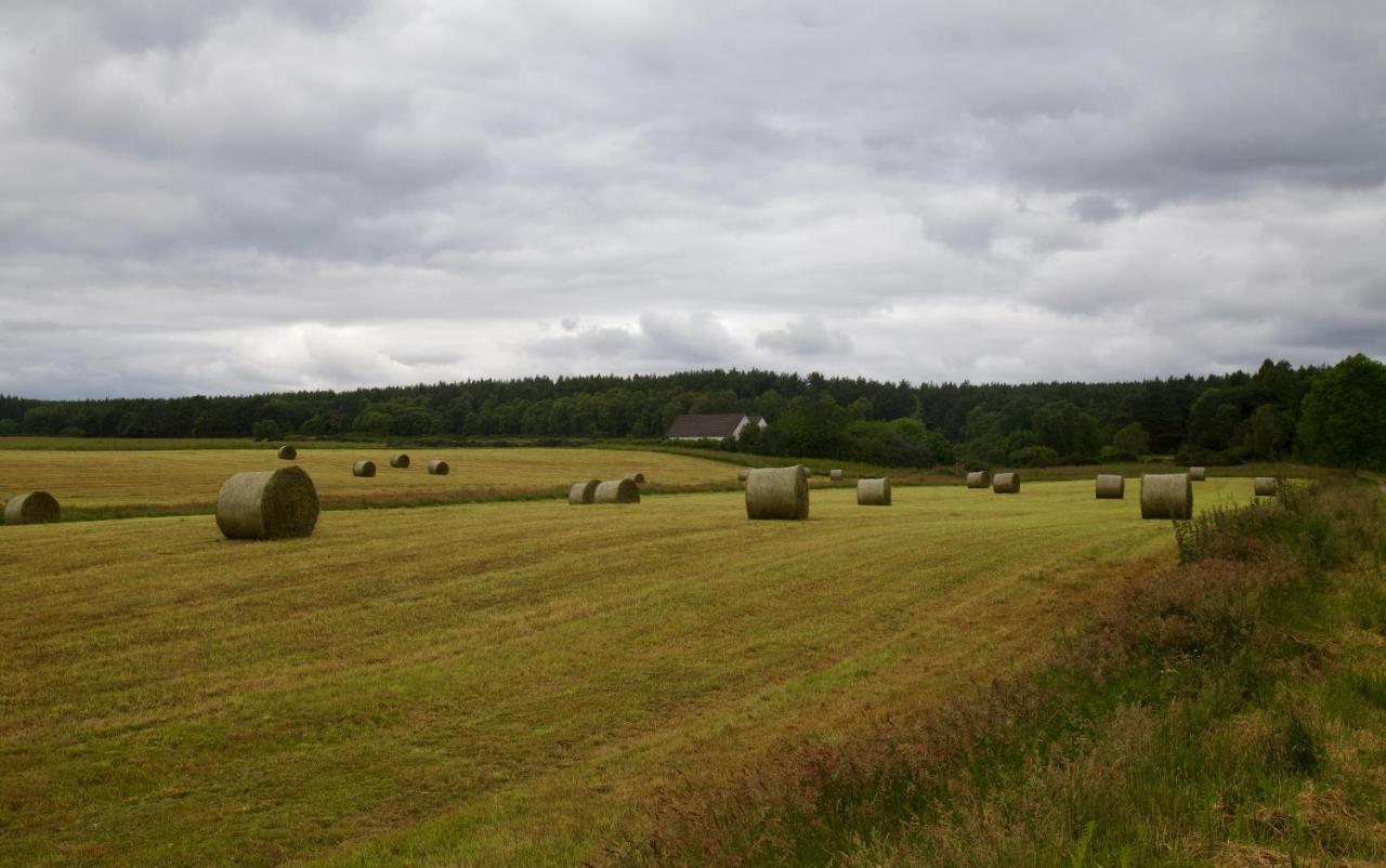Clashmore Wood Дорнох Екстериор снимка